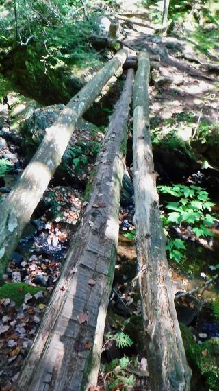 Logs used as a footbridge