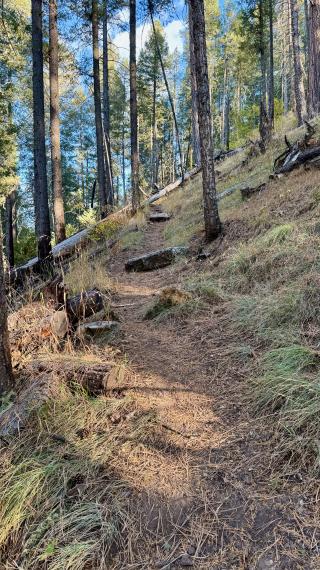 The trail begins another climb