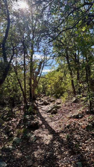 Big rocks on the trail