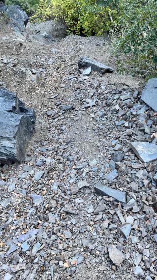 Rocks scattered on the trail
