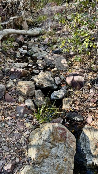 Water flows from a spring